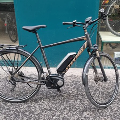 Stevens E-Lavena — vélo électrique