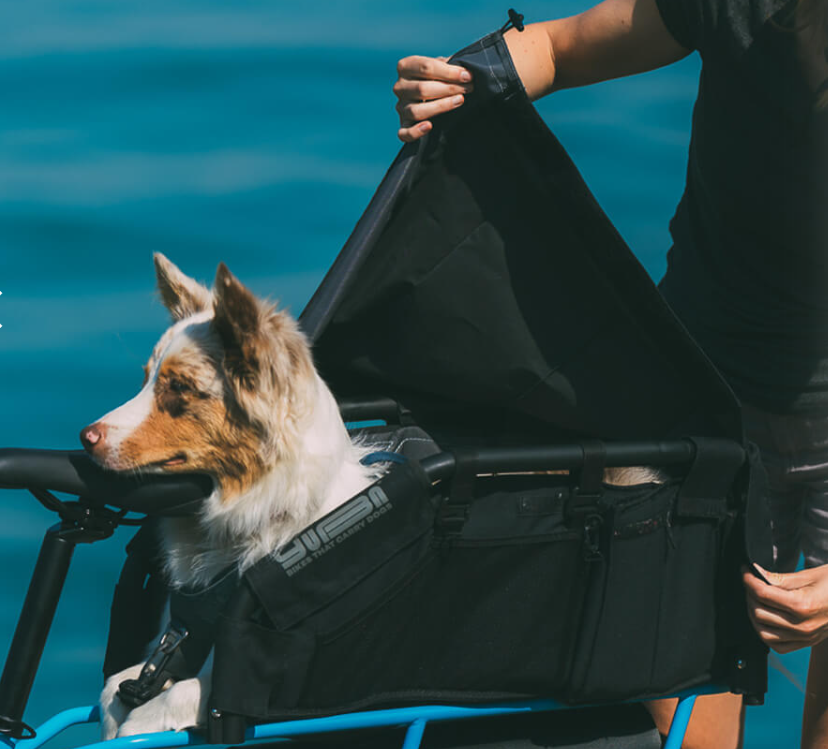 Yuba Wooftop — vélo électrique