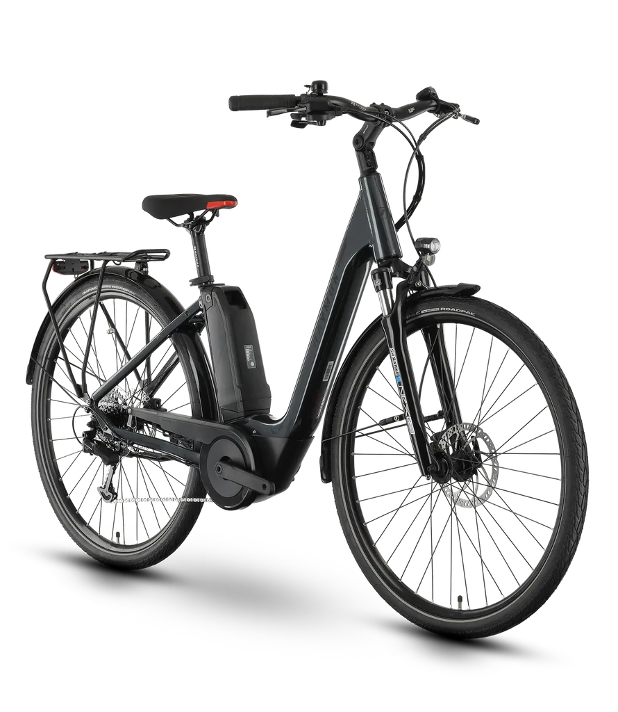 R Raymon CityRay E 1.0 SE — vélo électrique