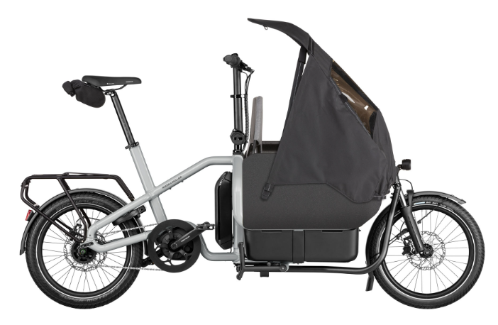 [ECOX348658] Riese & Müller Carrie Easy (Unique, Gris, 545 Wh)