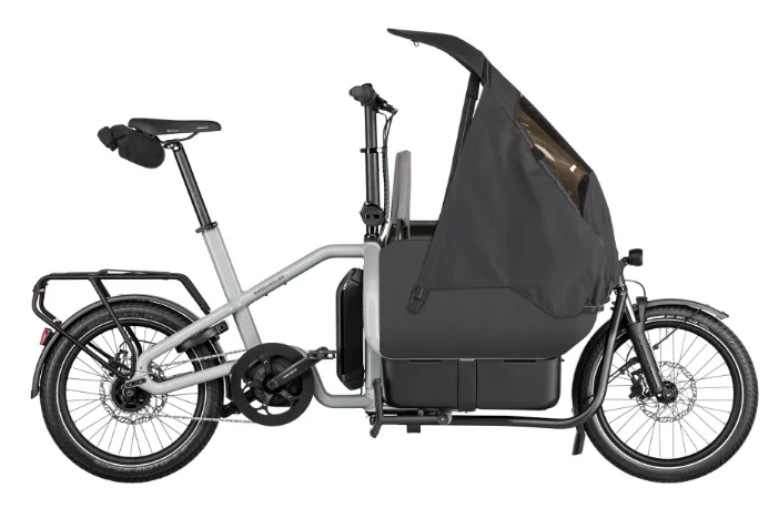 Riese &amp; Müller Carrie Easy — vélo électrique