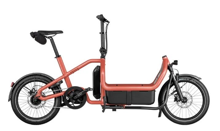 Riese &amp; Müller Carrie 2 City — vélo électrique