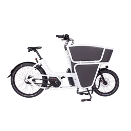 Urban Arrow Shorty Performance Line — vélo électrique