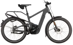 Riese & Müller Delite 5 Pinion HS — vélo électrique