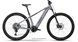 Raymon Zorq Elite — vélo électrique