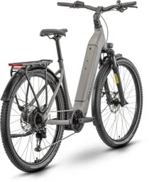 Raymon Tahona Comp cadre ouvert — vélo électrique